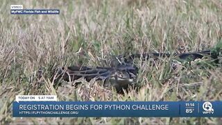 Registration begins for Florida's 2023 Python Challenge