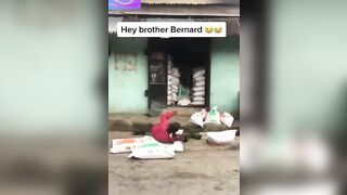 Best Compilation Of Brother Bernard @1