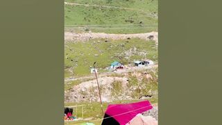 Kedarnath temple june 22 #youtubeshorts #shortvideo #travel #shorts