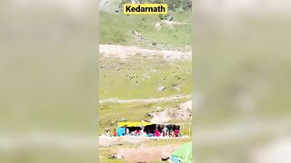 Kedarnath temple june 22 #youtubeshorts #shortvideo #travel #shorts