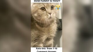 ???? Funny tiktok compilation 13 #shorts #short #shortsvideo #tiktok #tiktokviral #viral #viralshorts