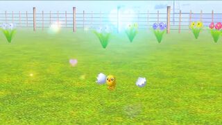 EI Pollito Pio 3D Concoines De La Granja De Zenon efecto3D games Gameplay Android 1324