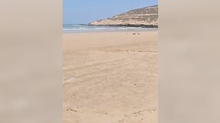 cute stray dogs on the beach #iftanebeach #essaouira #beach #simpleoutfit #niceday #travel