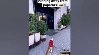 •Celebrity dog running away from paparazzi! ????#dog#Dogs#shortvideo #fun #shortsvideo #youtubeshorts