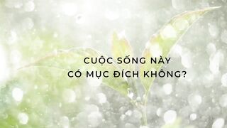 "SỐNG NHƯ BÔNG PHÁO HOA" - BOOK TRAILER | Ruby Nguyen