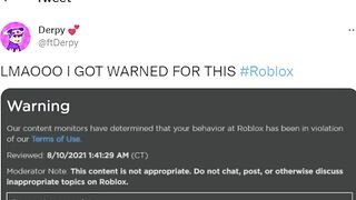 Roblox Just Exposed Themselves...