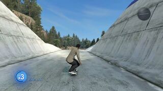 What 3000 hours of Skate 3 looks like