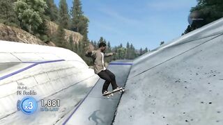 What 3000 hours of Skate 3 looks like