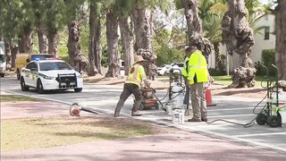 Miami Beach residents are thrilled that rumble strips will now be removed on Pine Tree Drive