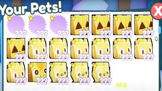 Rich Players! Full Inventory of HUGE PETS in Pet Simulator X!