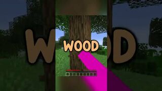 what if minecraft didn't have wood...