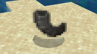 Why does this useless Minecraft item exist?