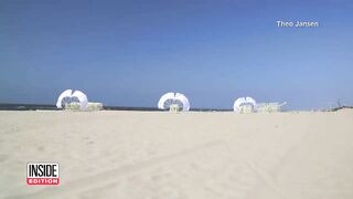 How Are These Art Sculptures Crawling on the Beach?