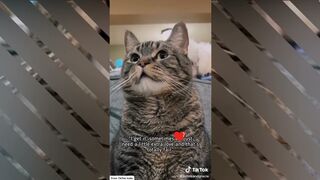 Who can relate? #penny  | aymieandgracie tiktok