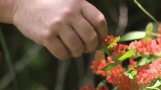 How a popular TikTok star is helping save the state's native plants