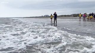 SC Aquarium releases sea turtles at Folly beach