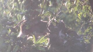 Breezy sunset on day 25. Stretching wings and eating dinner.