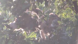 Breezy sunset on day 25. Stretching wings and eating dinner.