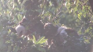 Breezy sunset on day 25. Stretching wings and eating dinner.