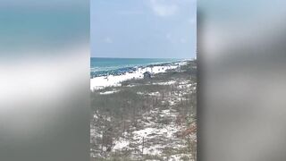 Bear seen swimming in ocean at Destin beach