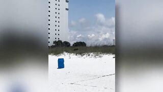 Bear seen swimming in ocean at Destin beach