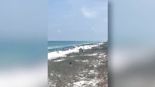 Bear seen swimming in ocean at Destin beach