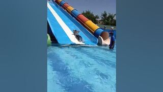 ????#fun #amusementpark #viral #youtubeshorts #slide #water #instagram #100