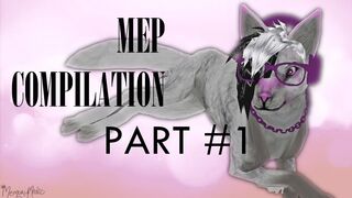 [FH] - MEP Compilation #1