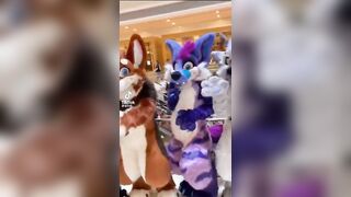 Furry Tiktok Compilation #46