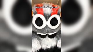 Furry Tiktok Compilation #46