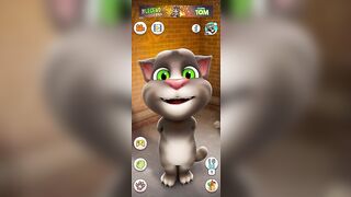 Funny cats Talking Tom Funny video Funny video compilation funny videos 2023 #talkingtom