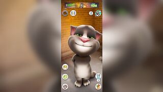 Funny cats Talking Tom Funny video Funny video compilation funny videos 2023 #talkingtom