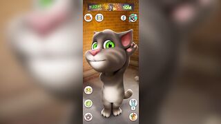 Funny cats Talking Tom Funny video Funny video compilation funny videos 2023 #talkingtom