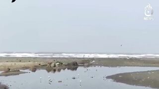 Sea Strom Biparjoy effects visible on Karachi beach - Garbage piled up on Seaview - Aaj News