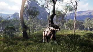 theHunter: Call of the Wild - Emerald Coast Australia Release Trailer | PS4 Games