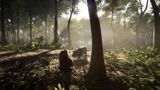 theHunter: Call of the Wild - Emerald Coast Australia Release Trailer | PS4 Games