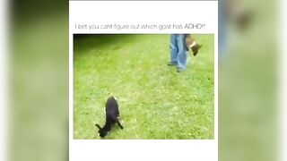 memes I found on tiktok pt.24 #funny #tiktok #memes