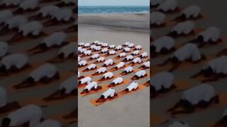 International Day of Yoga 2023: Indian Coast Guard Special Yoga Session at Dhanush Kodi in sir Lanka