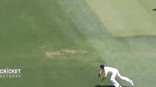 Virat Kohli cover drive!!(compilation)..... 'CEO' of cover drive????????#cricket#bestshot