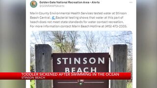 Toddler sickened after swimming in ocean at Stinson Beach