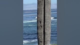 Wind and Sea At the beach, Santa Cruz, California