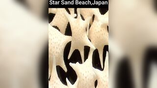 World Beautiful Beach,Star Sand Beach,Japan #shorts