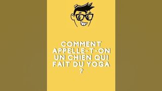 Comment appelle t on un chien qui fait du yoga ?