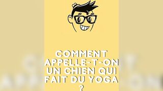 Comment appelle t on un chien qui fait du yoga ?