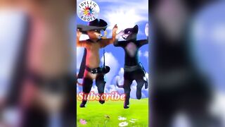 Cute flexible dance of cat | देखा है बिल्ली और बिल्ला का ऐसा डांस #shorts #short #funny #catdance