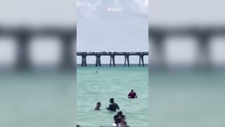 Shark surprises holiday swimmers at Florida beach | 7NEWS