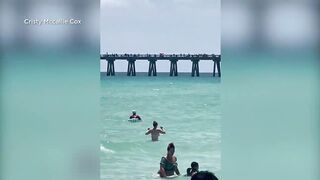 WATCH: Shark seen moving past swimmers at beach in Florida