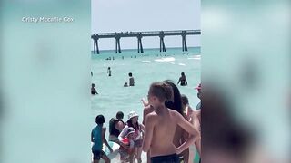 WATCH: Shark seen moving past swimmers at beach in Florida