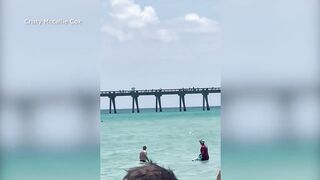 WATCH: Shark seen moving past swimmers at beach in Florida