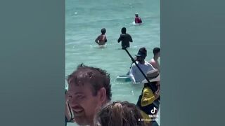 Shark spotted close to swimmers at Florida beach #shorts